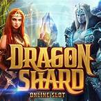 dragon shard slot